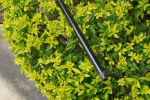 高強度 10 * 8 mm エポキシ樹脂炭素繊維チューブ/パイプ